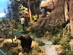 -陕西自然博物馆