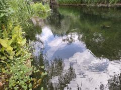 -兰溪青年公园