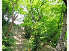 -皇藏峪国家森林公园