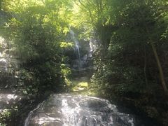 -藏龙百瀑风景区