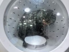 -中农大我爱我爱动物医院·核磁CT·猫病·24小时夜诊中心(石佛营店)