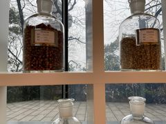 -MAMACHA妈妈茶(岳麓山店)