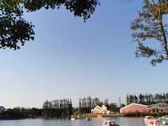 -上海长兴岛郊野公园