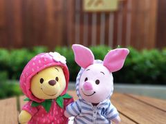 -Peet's Coffee皮爷咖啡(大学路店)