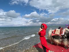 -青海湖国家重点风景名胜区