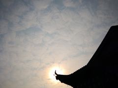 -上海当代艺术博物馆