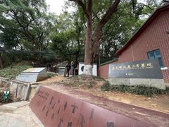 -马王堆汉墓遗址