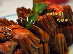 -寻宝记绍兴菜(状元店)