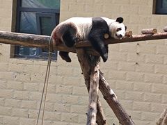 -石家庄市动物园