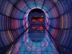 -正佳自然科学博物馆