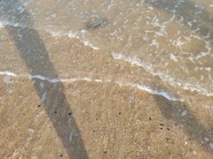 -日照灯塔风景区