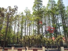 -青岛第三海水浴场