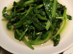 -席家花园(巨鹿花园店)