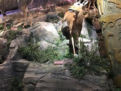 -陕西自然博物馆