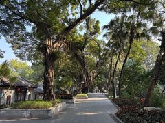 -荔湾湖公园
