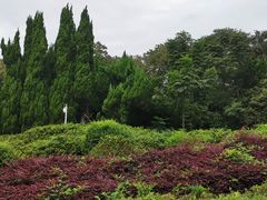 -宜兴龙背山森林公园