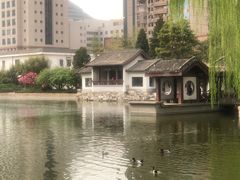 -团结湖公园