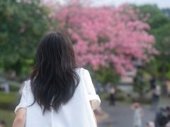 -东莞植物园