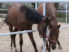 -龙口南山旅游景区