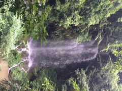 iphone_upload_pic-碧峰峡风景区