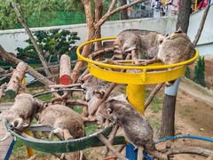 -西霞口神雕山野生动物世界