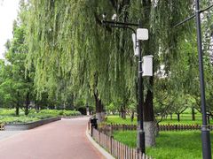 -莲花池公园