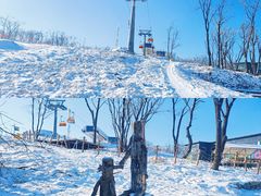 -中旅松花湖滑雪场
