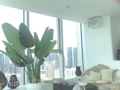 -Jungle Nat 高空餐厅