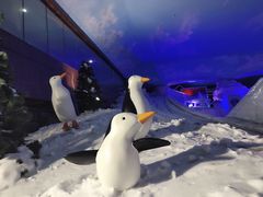 -世界之窗阿尔卑斯冰雪世界
