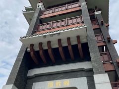 -王借岗森林公园