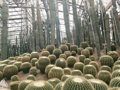 -南山植物园