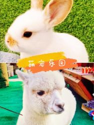 -萌宠亲子动物乐园(槐房万达店)