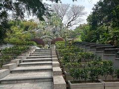 -九龙公园