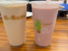 -猫的魔法密林(衣裳街店)