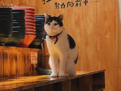 -老龙亭拉面店