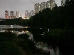 -重庆彩云湖湿地公园