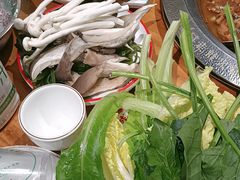 -成老灶火锅鸡(平山店)
