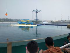 -秦皇岛乐岛海洋王国