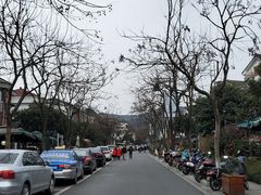 -杭州植物园