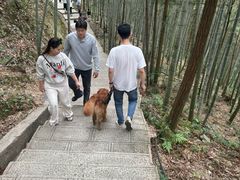 -石台牯牛降景区