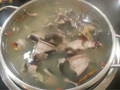 眼镜蛇炖甲鱼-潮盧打边炉
