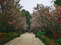 -南山植物园
