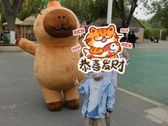 -北戴河集发农业梦想王国