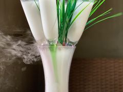 -探窝·竹笙椰子鸡(杨箕店)