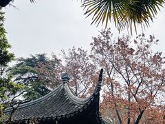 -北寺塔