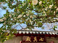 -青岛崂山太清宫