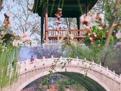 -石家庄市植物园