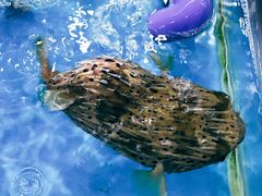 -清水湾3号(东方小周海鲜店)