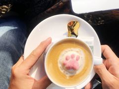 -喵屿·大理花园猫咖