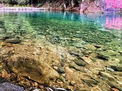 -白云源风景区